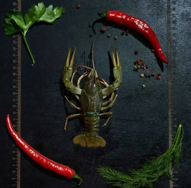 №5 ЖИВЫЕ РАКИ