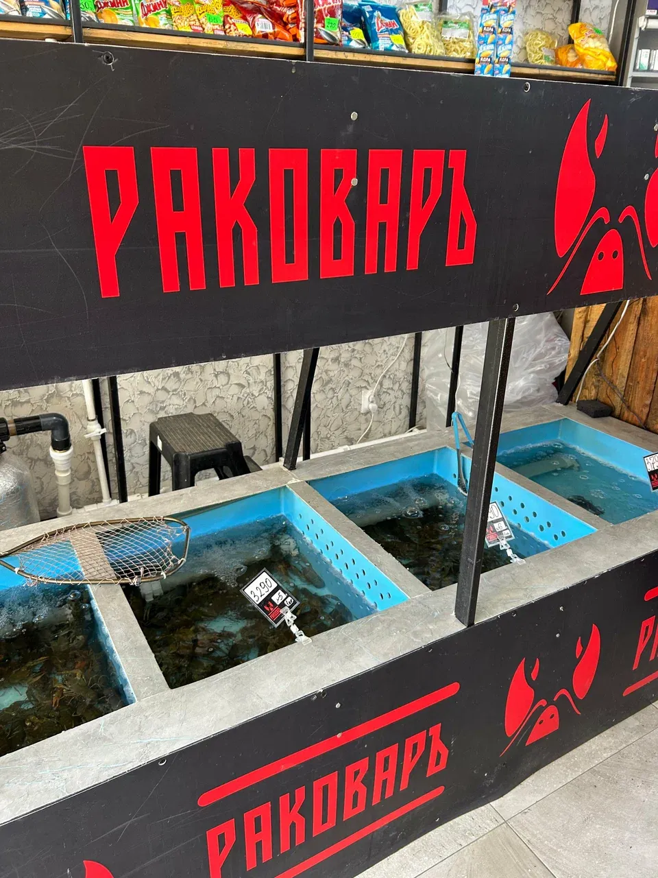 Аквариумы с живыми раками в магазине РАКОВАРЪ